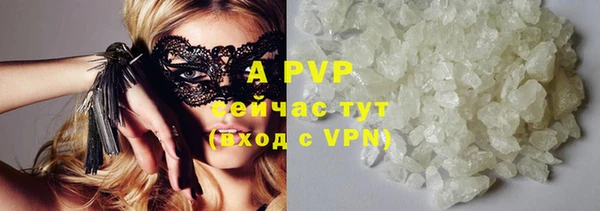 трава Абаза
