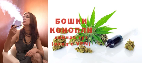 трава Абаза