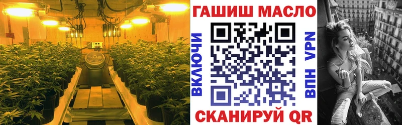 купить  сайты  Тырныауз  ТГК THC oil 