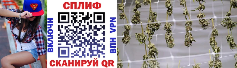дарнет шоп  Тырныауз  Каннабис MAZAR 